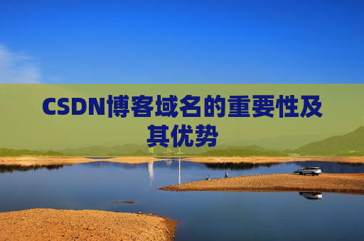 CSDN博客域名的重要性及其优势